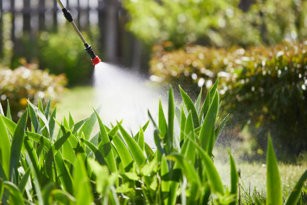 24/7 Emergency Termite Control experts in Hayesville, OR